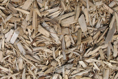 biomass boilers Wishanger
